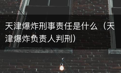 天津爆炸刑事责任是什么（天津爆炸负责人判刑）