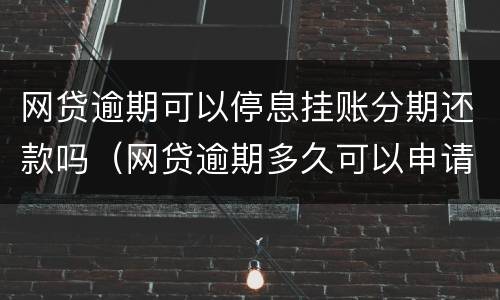 网贷逾期可以停息挂账分期还款吗（网贷逾期多久可以申请停息挂账）
