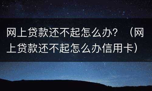 网上贷款还不起怎么办？（网上贷款还不起怎么办信用卡）