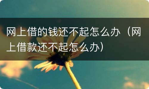网上借的钱还不起怎么办（网上借款还不起怎么办）