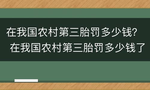 在我国农村第三胎罚多少钱？ 在我国农村第三胎罚多少钱了
