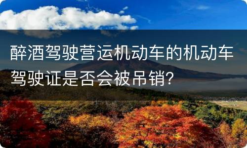 醉酒驾驶营运机动车的机动车驾驶证是否会被吊销？