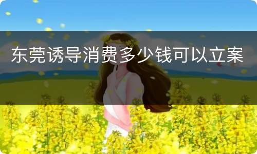 东莞诱导消费多少钱可以立案
