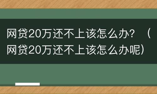网贷20万还不上该怎么办？（网贷20万还不上该怎么办呢）