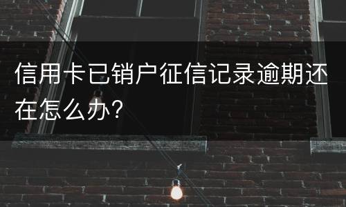 信用卡已销户征信记录逾期还在怎么办?