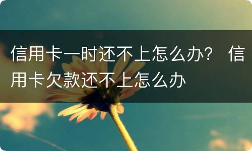 信用卡一时还不上怎么办？ 信用卡欠款还不上怎么办