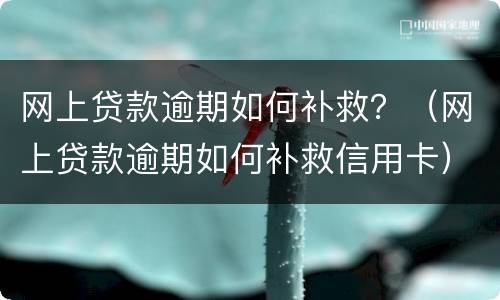 网上贷款逾期如何补救？（网上贷款逾期如何补救信用卡）