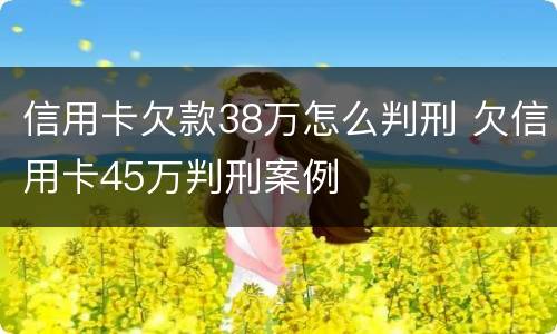 信用卡欠款38万怎么判刑 欠信用卡45万判刑案例
