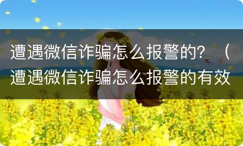 遭遇微信诈骗怎么报警的？（遭遇微信诈骗怎么报警的有效）