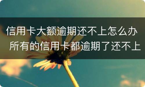 信用卡大额逾期还不上怎么办 所有的信用卡都逾期了还不上,怎么办