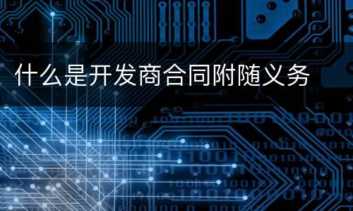 什么是开发商合同附随义务
