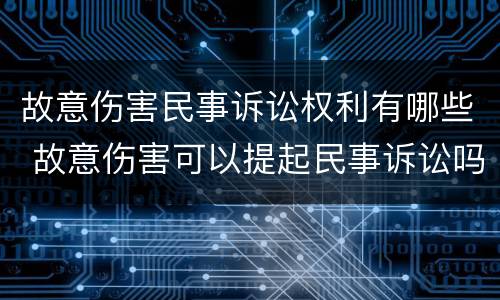 故意伤害民事诉讼权利有哪些 故意伤害可以提起民事诉讼吗