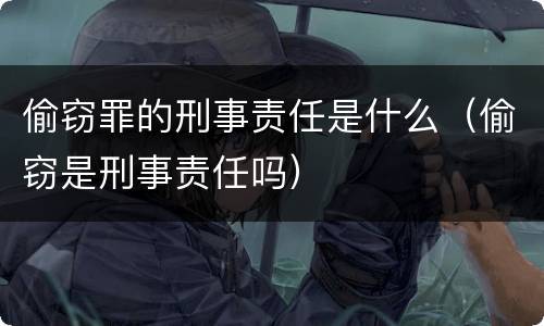 偷窃罪的刑事责任是什么（偷窃是刑事责任吗）