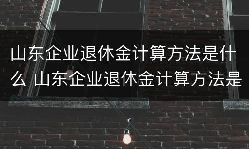 山东企业退休金计算方法是什么 山东企业退休金计算方法是什么样的