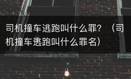 司机撞车逃跑叫什么罪？（司机撞车逃跑叫什么罪名）