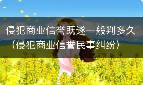 侵犯商业信誉既遂一般判多久（侵犯商业信誉民事纠纷）