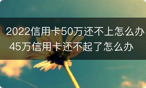 2022信用卡50万还不上怎么办 45万信用卡还不起了怎么办