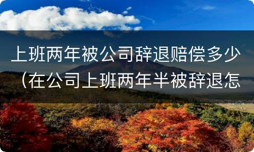 上班两年被公司辞退赔偿多少（在公司上班两年半被辞退怎么赔偿）