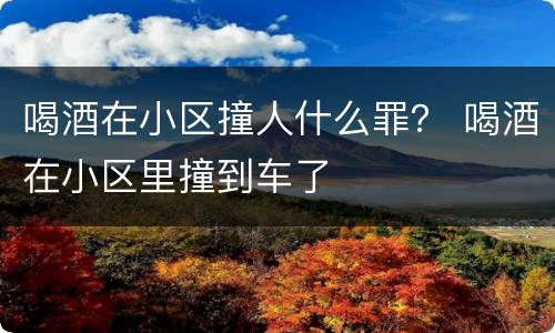 喝酒在小区撞人什么罪？ 喝酒在小区里撞到车了