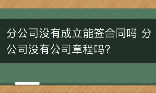 分公司没有成立能签合同吗 分公司没有公司章程吗?