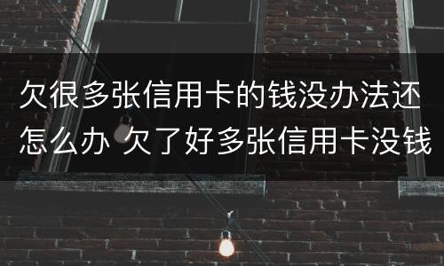 欠很多张信用卡的钱没办法还怎么办 欠了好多张信用卡没钱还