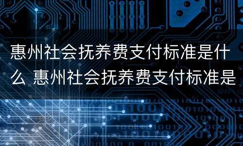 惠州社会抚养费支付标准是什么 惠州社会抚养费支付标准是什么样的