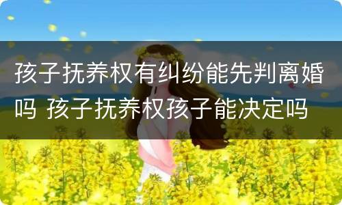 孩子抚养权有纠纷能先判离婚吗 孩子抚养权孩子能决定吗