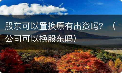 股东可以置换原有出资吗？（公司可以换股东吗）