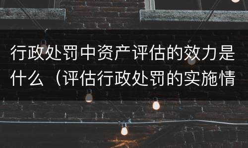 行政处罚中资产评估的效力是什么（评估行政处罚的实施情况和必要性）