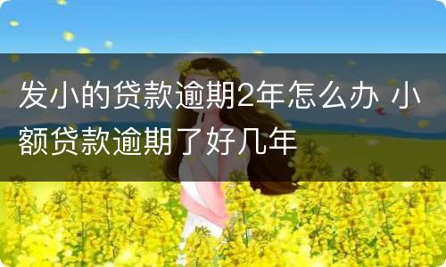 发小的贷款逾期2年怎么办 小额贷款逾期了好几年