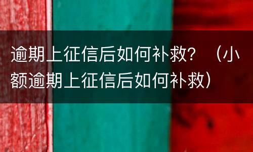 逾期上征信后如何补救？（小额逾期上征信后如何补救）