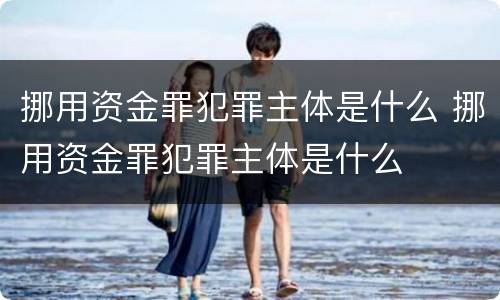 挪用资金罪犯罪主体是什么 挪用资金罪犯罪主体是什么