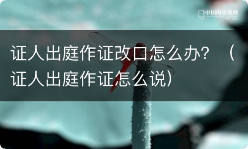 证人出庭作证改口怎么办？（证人出庭作证怎么说）