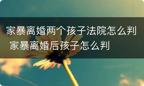 家暴离婚两个孩子法院怎么判 家暴离婚后孩子怎么判