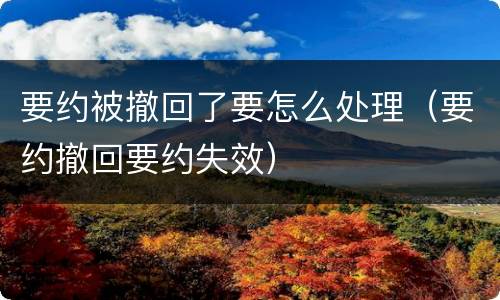 要约被撤回了要怎么处理（要约撤回要约失效）