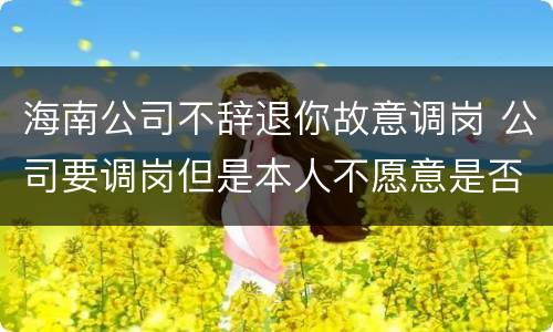 海南公司不辞退你故意调岗 公司要调岗但是本人不愿意是否可以解除