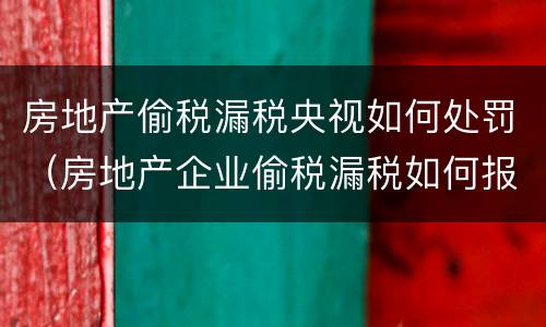 房地产偷税漏税央视如何处罚（房地产企业偷税漏税如何报案）