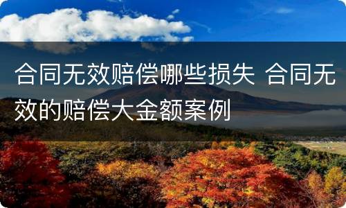 合同无效赔偿哪些损失 合同无效的赔偿大金额案例
