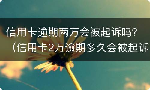 信用卡逾期两万会被起诉吗？（信用卡2万逾期多久会被起诉）
