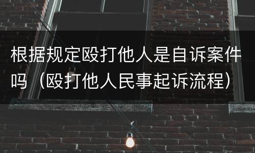 根据规定殴打他人是自诉案件吗（殴打他人民事起诉流程）