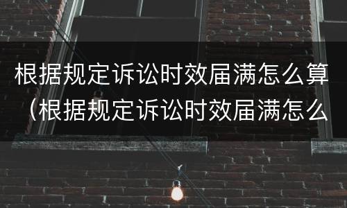 根据规定诉讼时效届满怎么算（根据规定诉讼时效届满怎么算的）