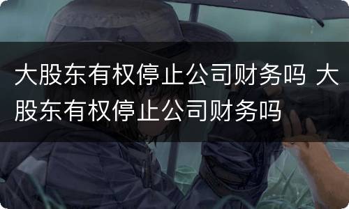 大股东有权停止公司财务吗 大股东有权停止公司财务吗