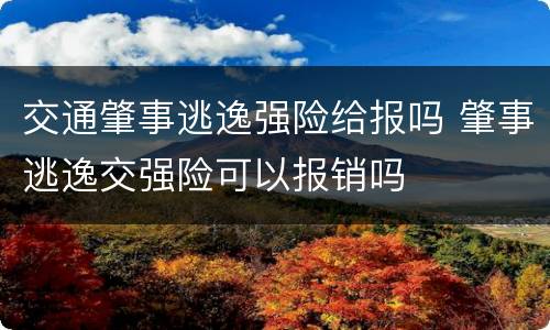 交通肇事逃逸强险给报吗 肇事逃逸交强险可以报销吗