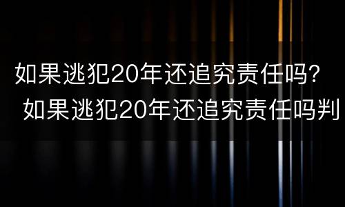如果逃犯20年还追究责任吗？ 如果逃犯20年还追究责任吗判几年
