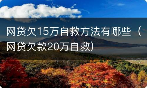 网贷欠15万自救方法有哪些（网贷欠款20万自救）