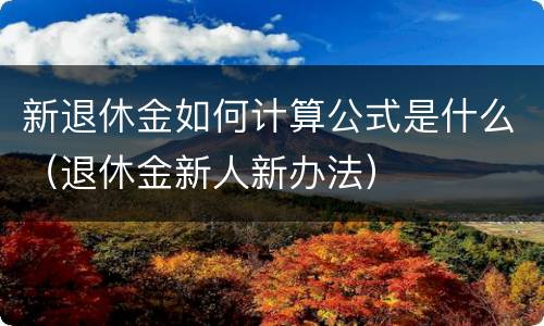 新退休金如何计算公式是什么（退休金新人新办法）