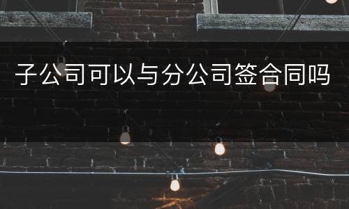 子公司可以与分公司签合同吗