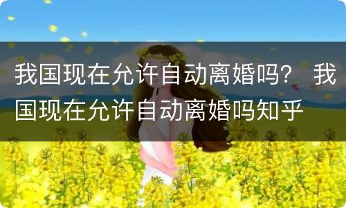 我国现在允许自动离婚吗？ 我国现在允许自动离婚吗知乎