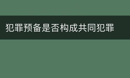犯罪预备是否构成共同犯罪