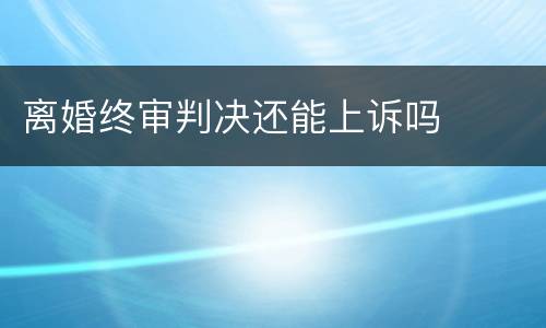 离婚终审判决还能上诉吗